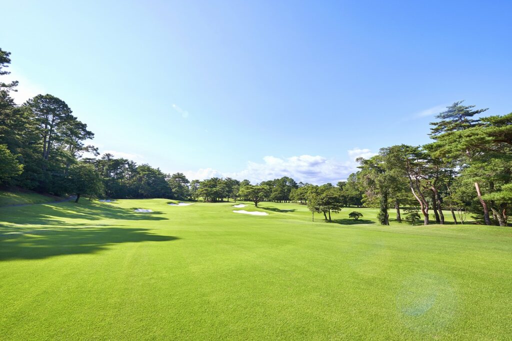 James Depas 風景画 145/225 限定版 ゴルフコースの風景 81ZpGUFTWyL._UF894,1000_QL80_.jpg