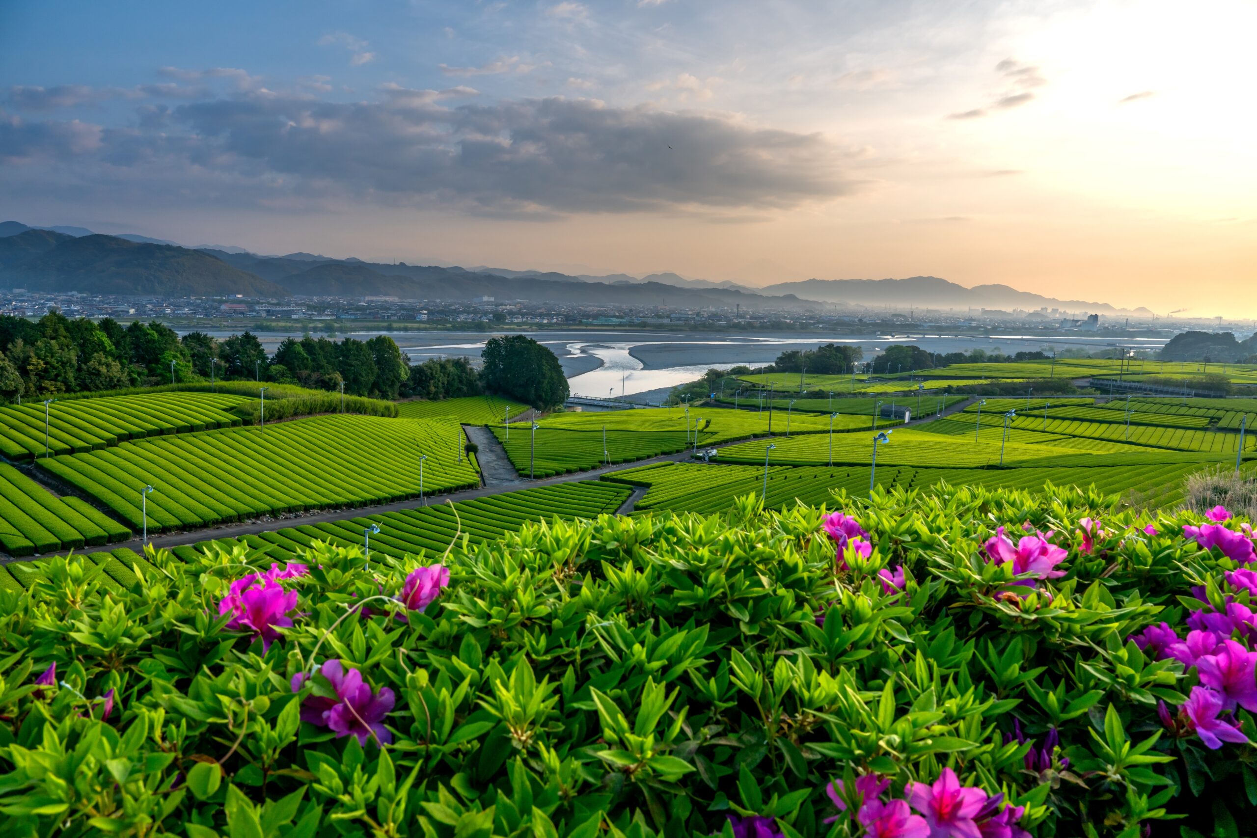 島田の春朝-中條景昭像公園-手塚
