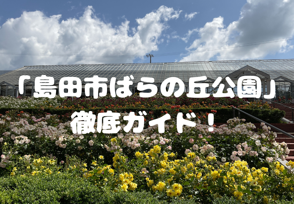 「島田市ばらの丘公園」徹底ガイド！バラの開花時期・イベント・グルメやバラ雑貨をご紹介